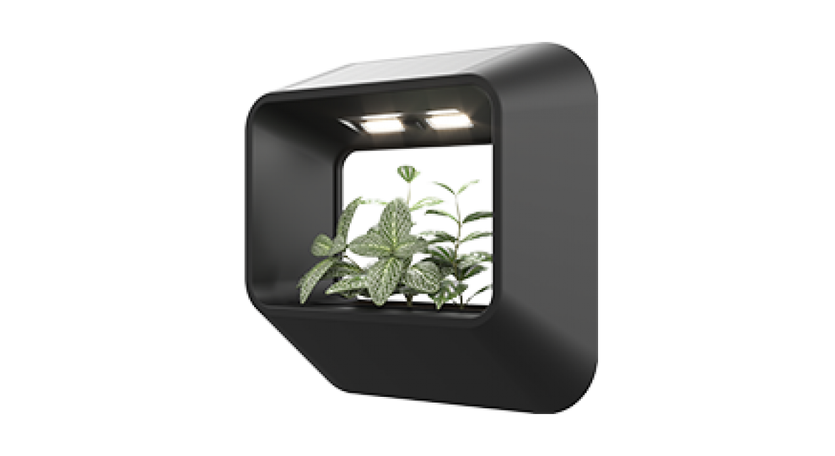 EXC-YR-Z02 Solar Wall Light Outdoor - Wholesale Supply