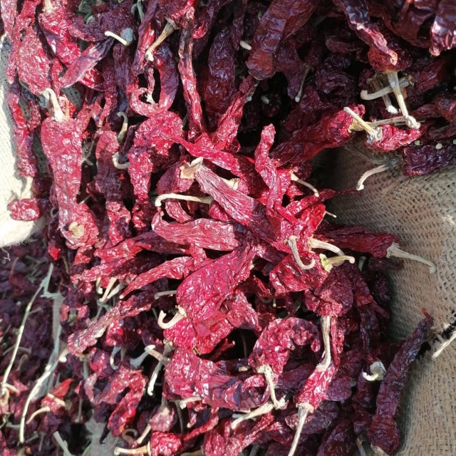 Dry Chili Dabbi Byadegi