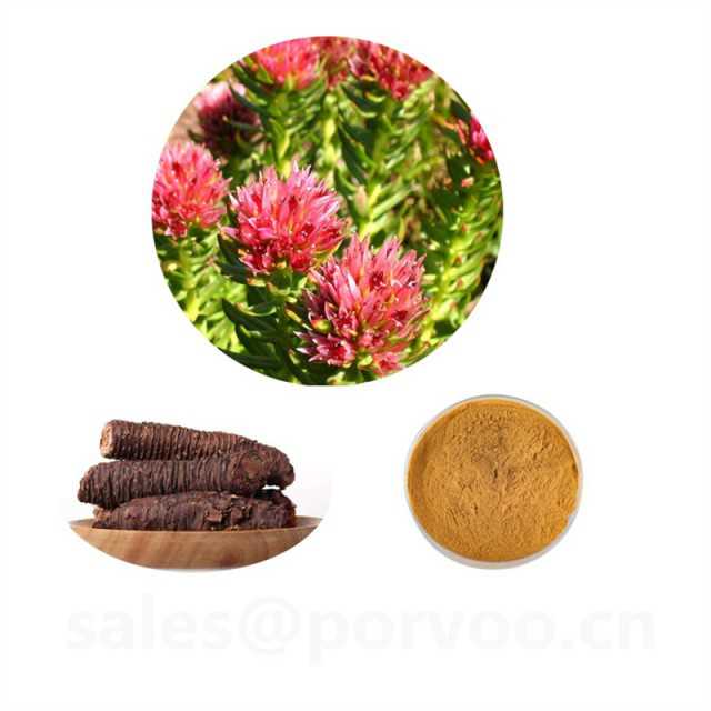 Rhodiola extract, main functions rhodiola Extractfor Strengthen immune