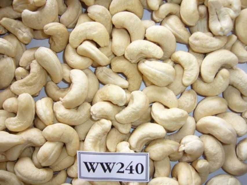 Premium Tanzanian Cashew Nuts - Grade A Quality