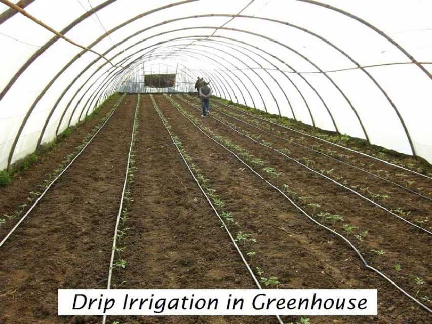 Agriculture Irrigation Drip Hose