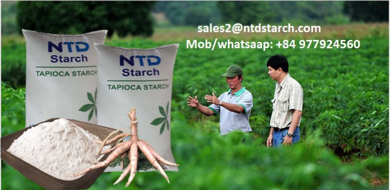 Native Tapioca Starch_good price