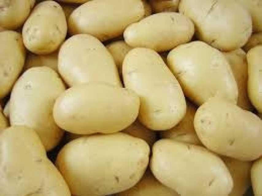 Fresh Potato Pakistan