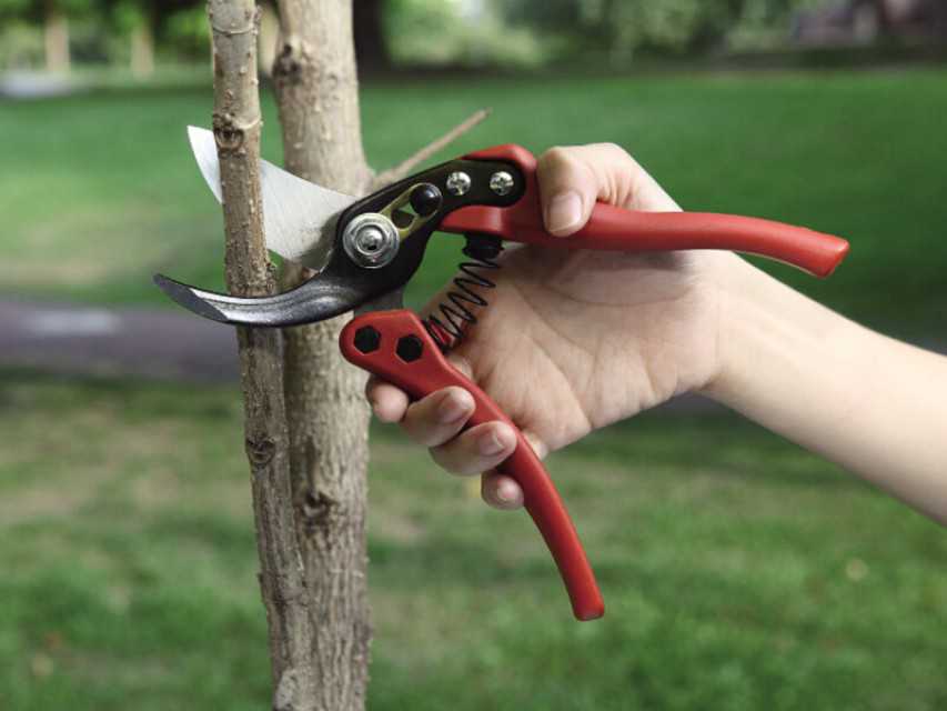 Professional Garden Hand Pruner - 3169-1- Cut Prune Your Plants Efficiently