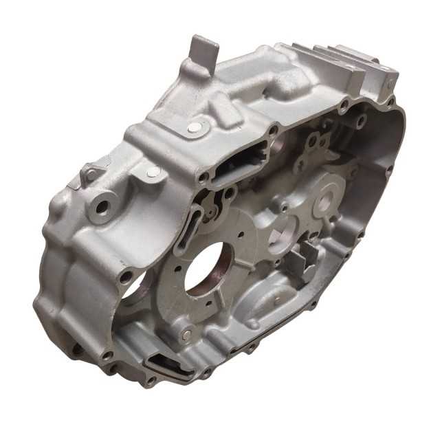 OEM Factory of Aluminium Oxidation Casting Auto Parts From China