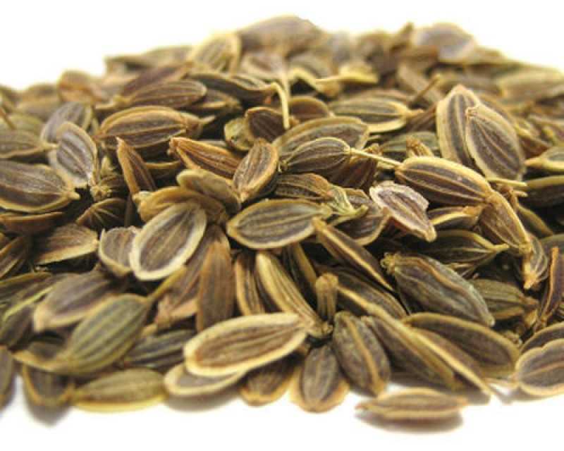 Dill Seed Natural and Dried