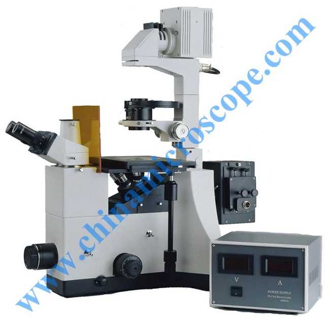 IBE-2000 Inverted Biological Microscope - Advanced Fluorescence Equipment