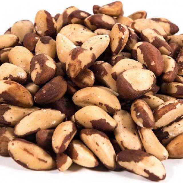 Brazil Nut Delight - Premium Quality Wholesale Offer from Namaskar SAC