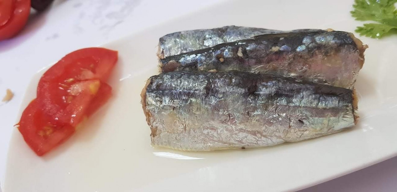Bulk Moroccan Sardines wholesale