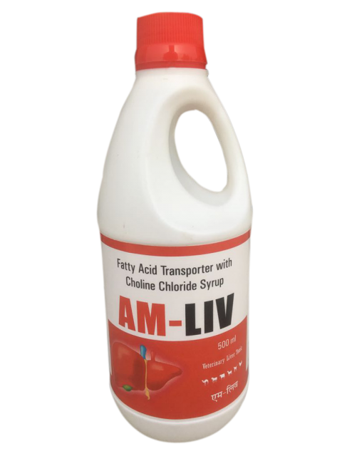 LIVERTONIC - Fatty Acid Transporter & Liver Tonic Supplement