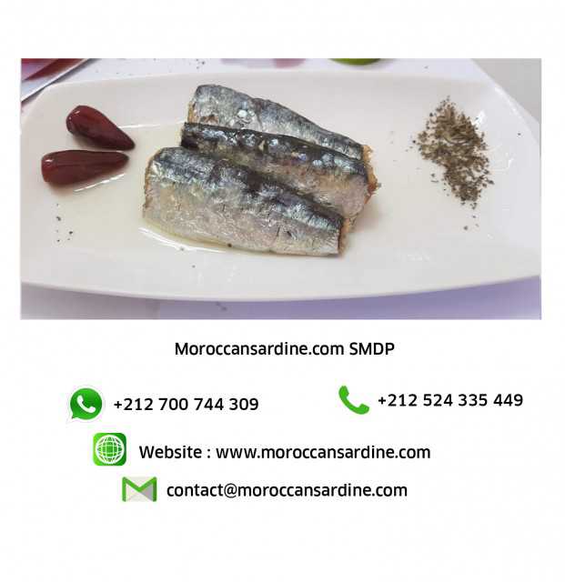 Delicious and Nutritious Moroccan Sardines