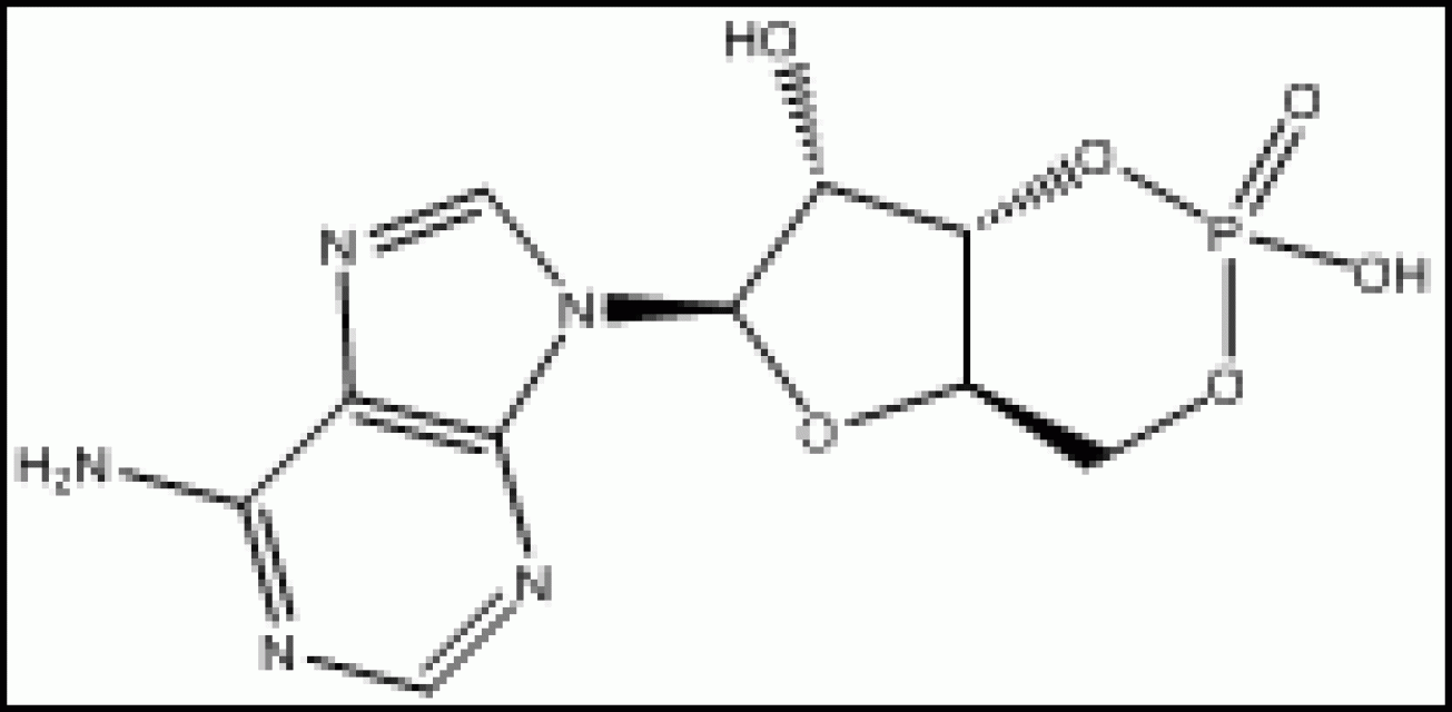 Adenosine cyclophosphate 60-92-4