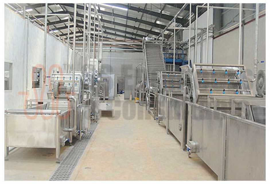 Efficient Tomato Processing Line - High-Quality Machines