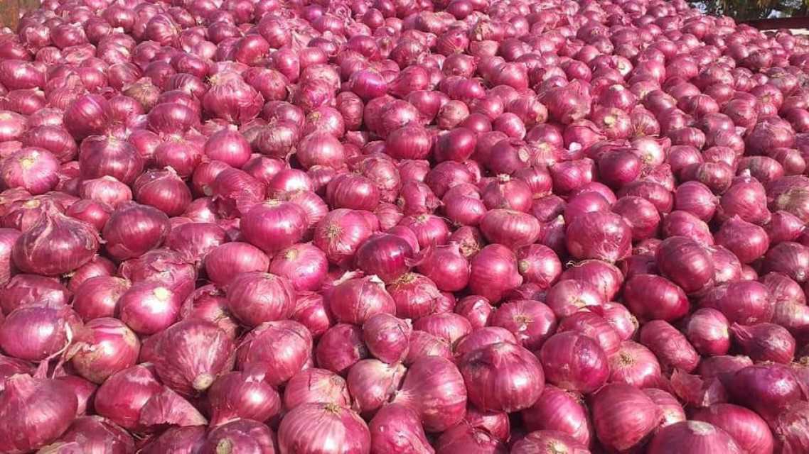Fruits and vegetables from Pakistan (Onion)