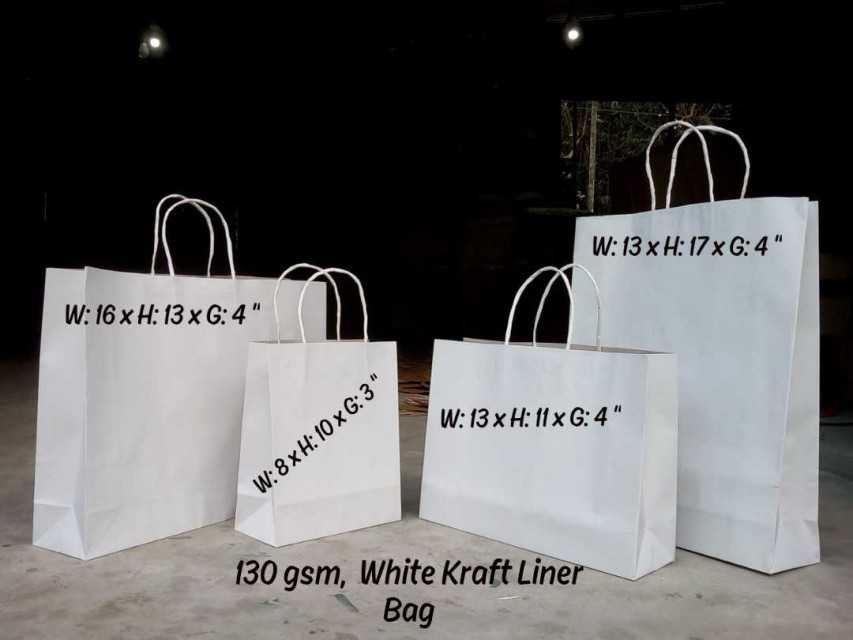 Paper Bags: Wholesale Manufacturer from India