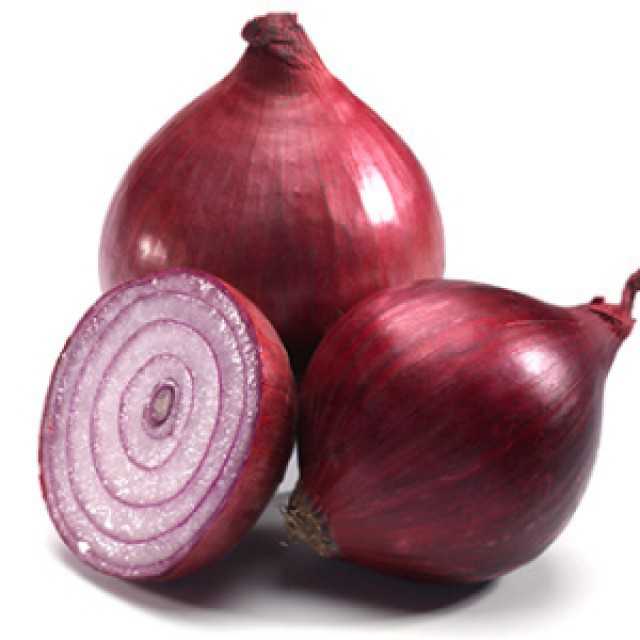 Premium Indian Red Onion - Directly from India at Wholesale Prices