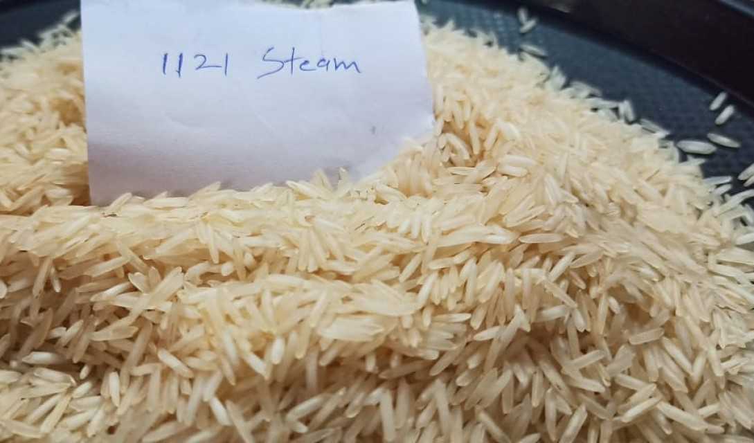 Basmati and Non Basmati Rice