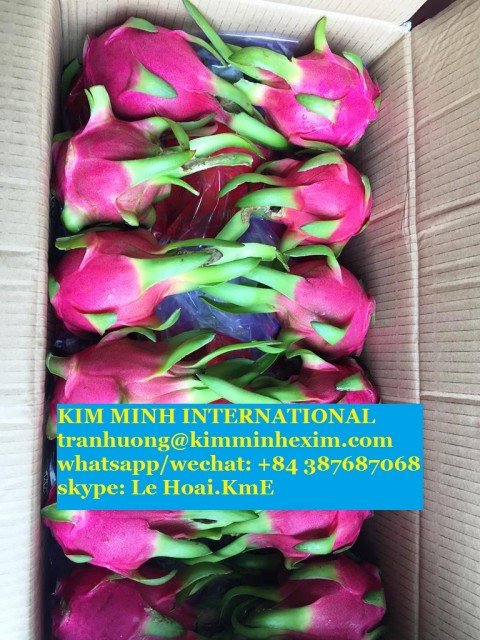 Dragon Fruit Supply From Vietnam - Fresh, Frozen and Puree