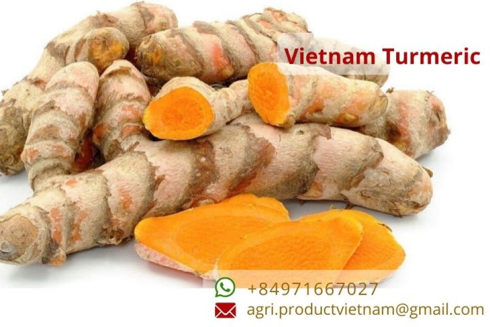 Vietnam Turmeric Export Products - All Types