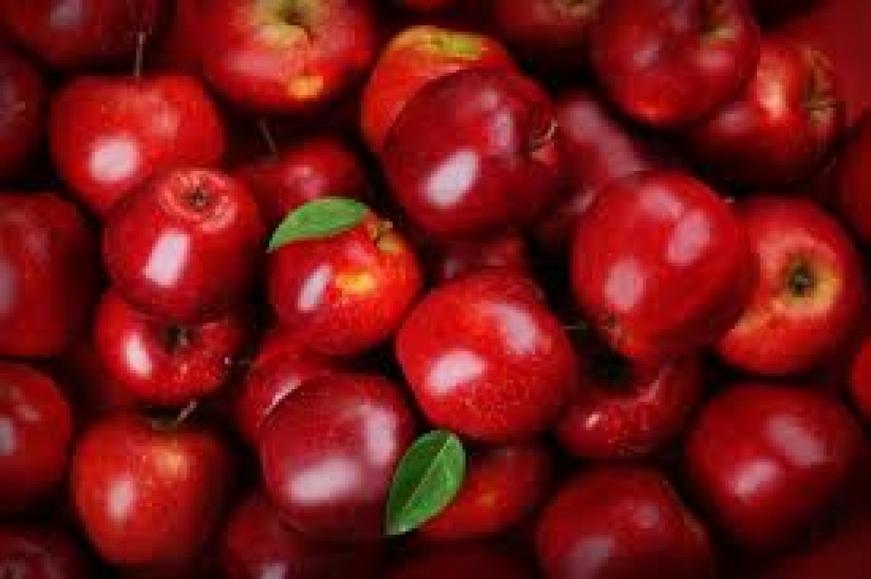 Fresh red, yellow, green, black apple fruits
