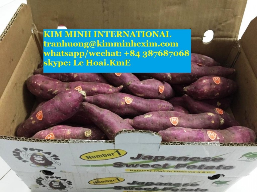 Fresh and Frozen Sweet Potato from Vietnam - Wholesale Supply