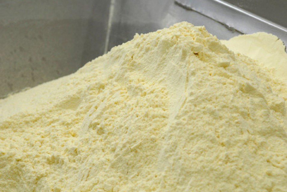 Bulk 1000kg Sale Goat milk powder /Camel Milk Powder /Sheep Milk Powde