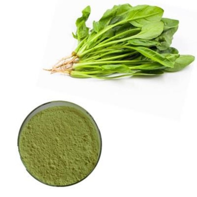Spinach Juice Powder - Nutrient-Rich Powder for Blood Health
