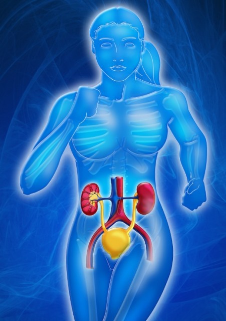 URINE-CARE™: Kidneys Disorders and Urinary Tract Infections Solution!