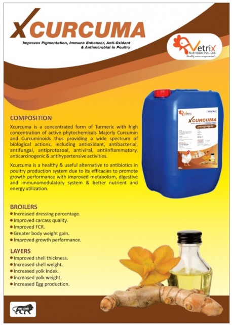 XCURCUMA CONCENTRATED TURMERIC OIL - Turmeric Extract for Health and Veterinary Use