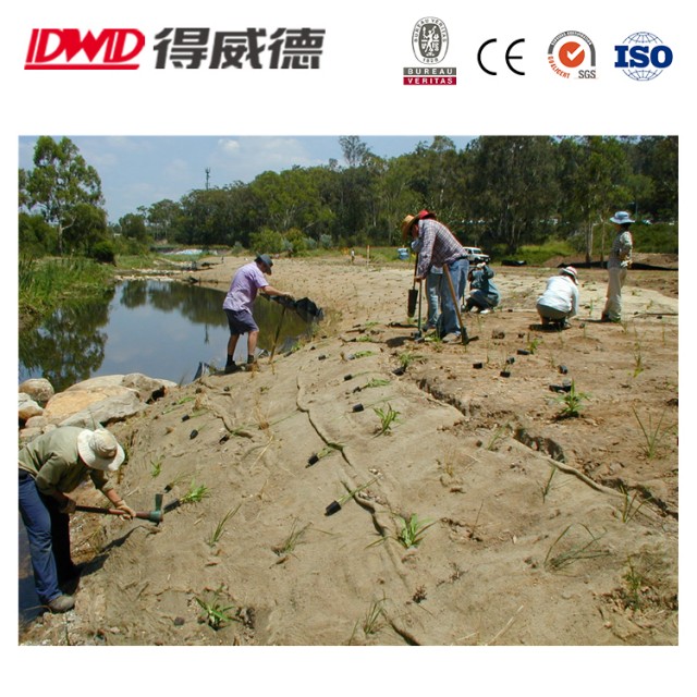Biodegradable Greenhouse Mulch Film Weed Control Mat - Eco-Friendly Solution for Agriculture