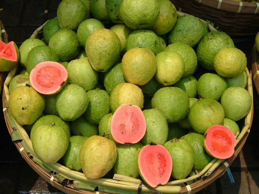 Guava ( Psidium Guajava )