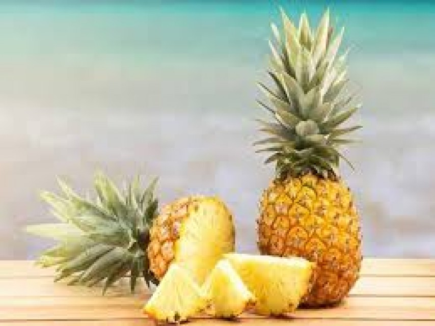 Pineapple (Ananas Comosus) - Premium Wholesale Supplier from India