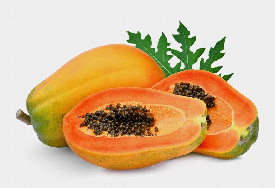 Papaya ( Carica Papaya )