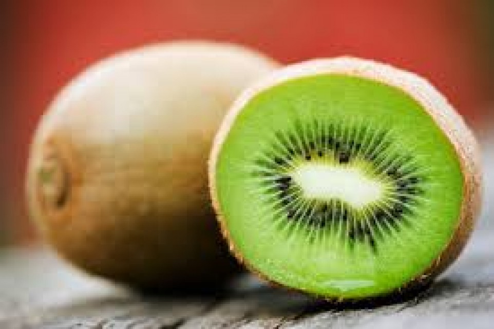 Kiwi ( Actinidia deliciosa )