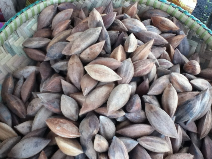 Pili Nuts - Exquisite and Nutritious Delights from South Africa