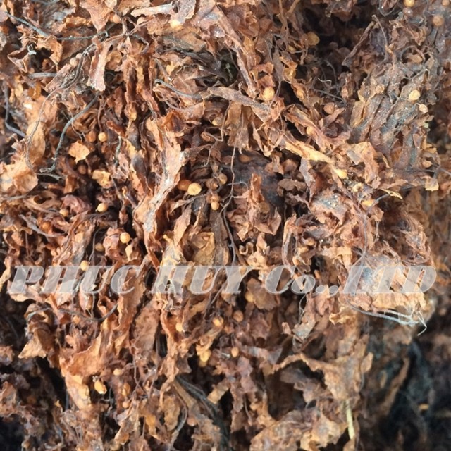 Grind Sargassum Flakes - Natural Brown Powder for Fertilizers and Animal Feed