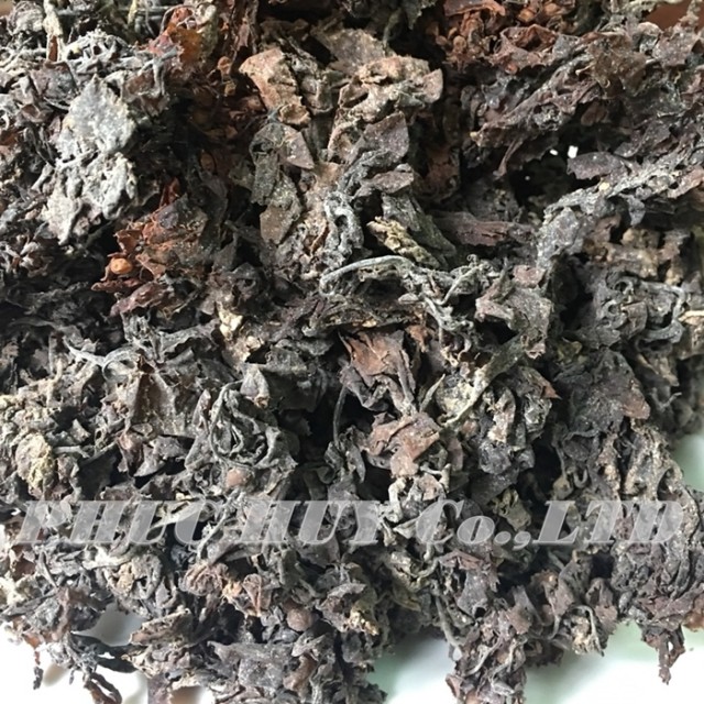 Raw Sargassum Seaweed - Natural Brown, 100% Fresh, Top Supplier