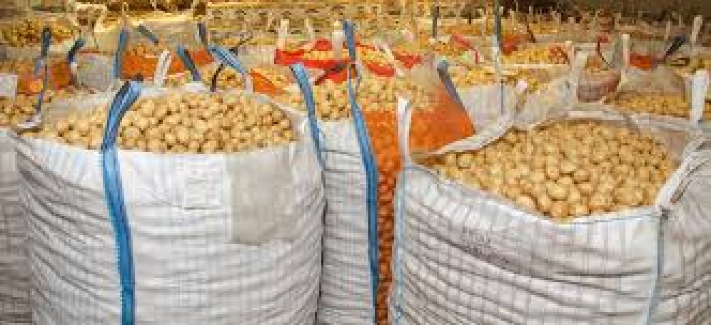 Premium Fresh Holland Potato - Gaolatlhe Trading