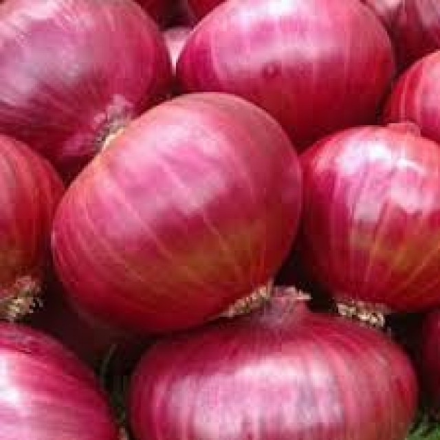 Resh golden onions