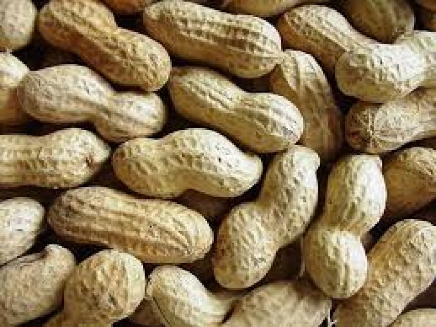 Best Quality Peanuts