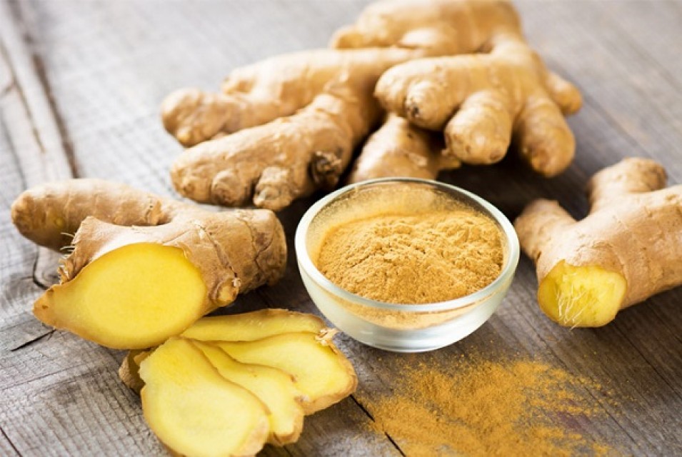 Supplier hot selling organic ginger Vietnamese