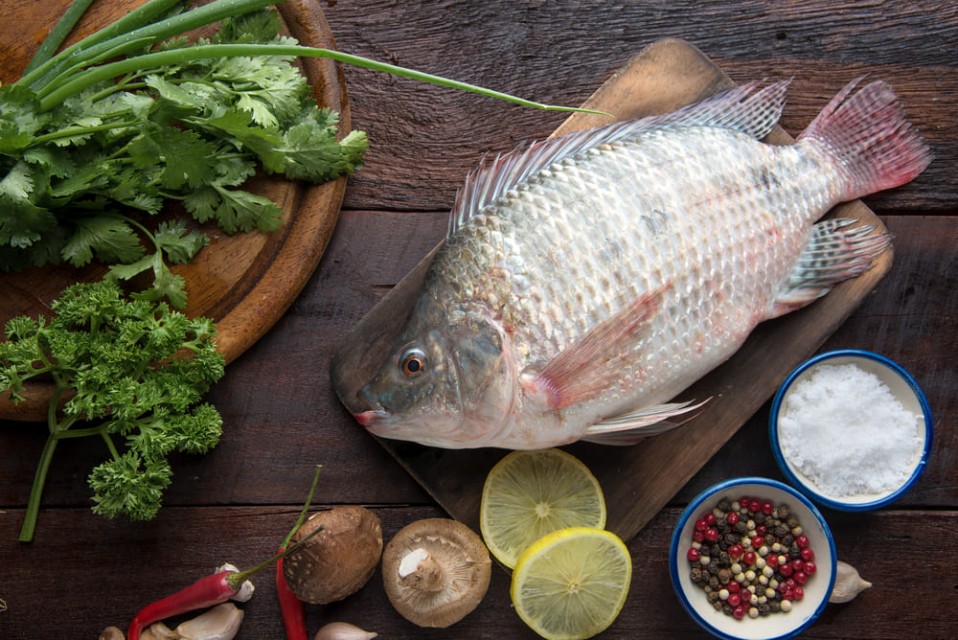 Premium Tilapia and Mullet Fish from Egypt