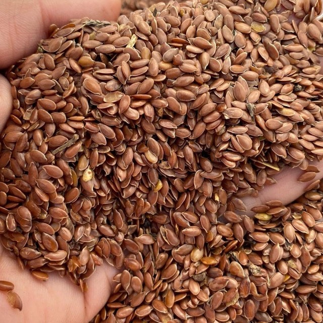 Premium Russian Flax Seeds - Wholesale Supply