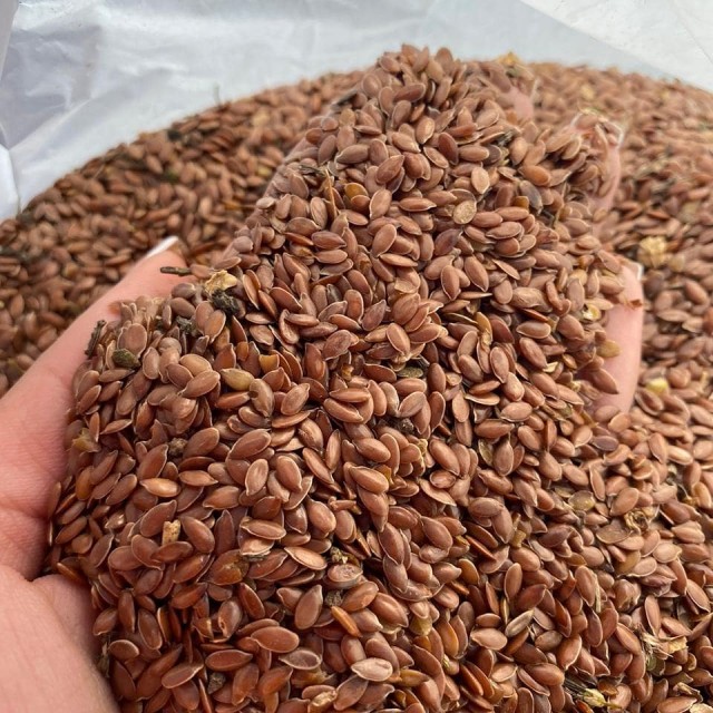 Premium Russian Flax Seeds - Wholesale Supply