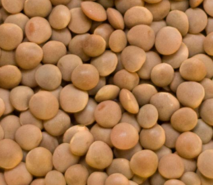 Premium Canadian Red Lentils - Quality and Value Guaranteed