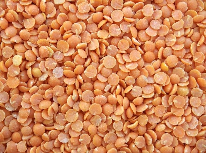 Premium Canadian Red Lentils - Quality and Value Guaranteed