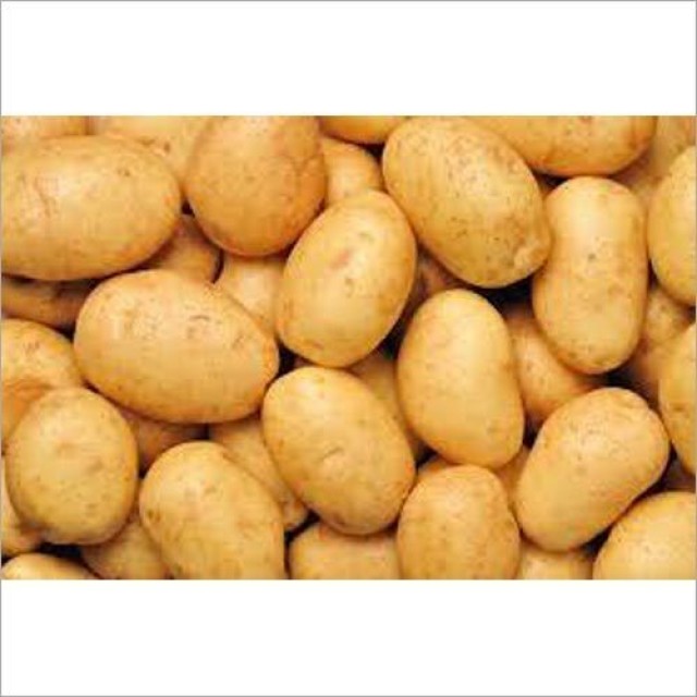 Potato and Potato Seeds