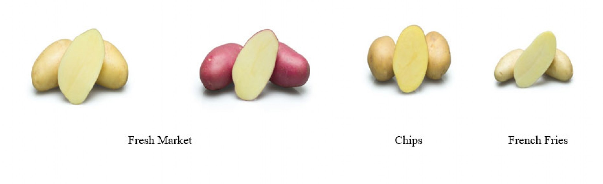 POTATO SEEDS by STET: Quality Seeds for Agriculture