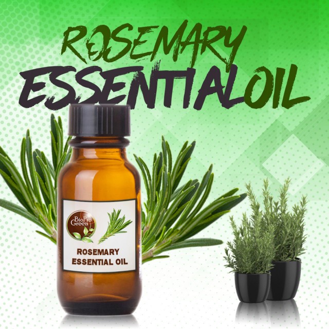 Rosemary parfumes