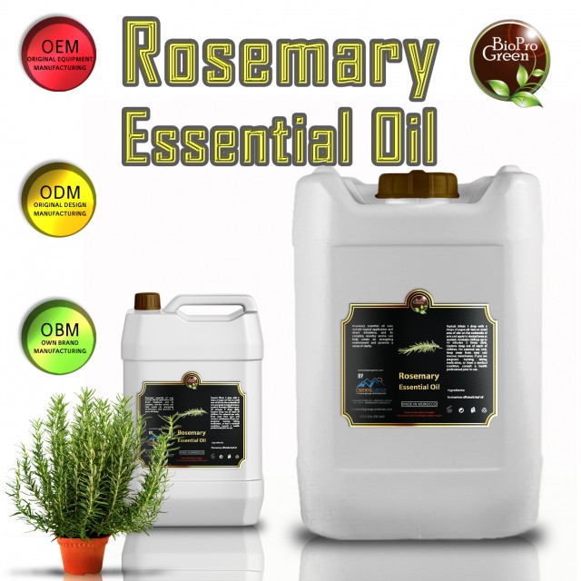 Rosemary Essential Oil: The Natural Herb for Wellness